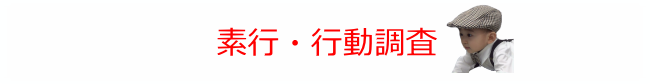 素行・行動調査